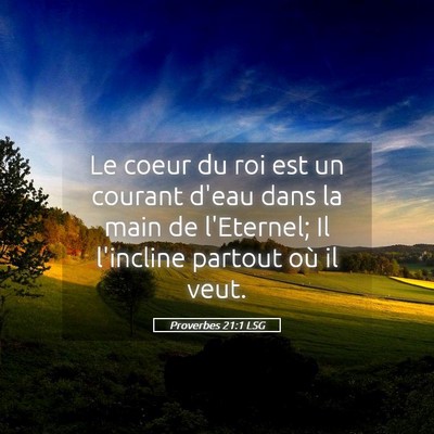 Picture 05 - Proverbes 21:1 LSG - Le coeur du roi est un courant d'eau dans la main - Bible Verse Picture