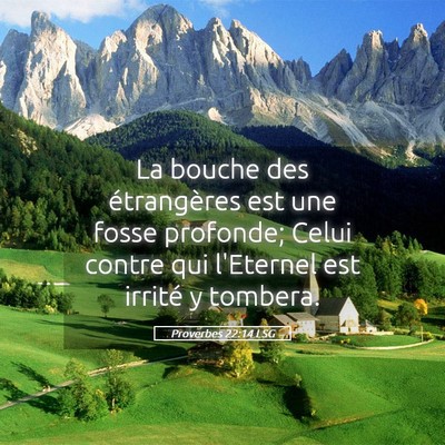 Picture 05 - Proverbes 22:14 LSG - La bouche des étrangères est une fosse - Bible Verse Picture