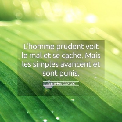 Picture 05 - Proverbes 22:3 LSG - L'homme prudent voit le mal et se cache, Mais les - Bible Verse Picture