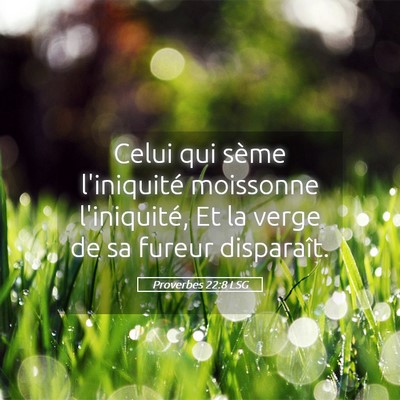 Picture 05 - Proverbes 22:8 LSG - Celui qui sème l'iniquité moissonne - Bible Verse Picture
