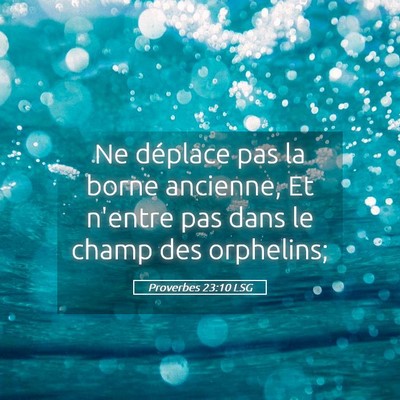 Picture 05 - Proverbes 23:10 LSG - Ne déplace pas la borne ancienne, Et n'entre pas - Bible Verse Picture