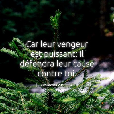 Picture 05 - Proverbes 23:11 LSG - Car leur vengeur est puissant: Il défendra leur - Bible Verse Picture