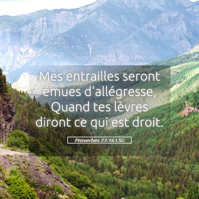 Picture 05 - Proverbes 23:16 LSG - Mes entrailles seront émues d'allégresse, Quand - Bible Verse Picture
