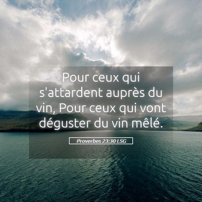 Picture 05 - Proverbes 23:30 LSG - Pour ceux qui s'attardent auprès du vin, Pour - Bible Verse Picture