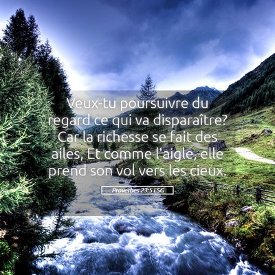 Picture 05 - Proverbes 23:5 LSG - Veux-tu poursuivre du regard ce qui va - Bible Verse Picture