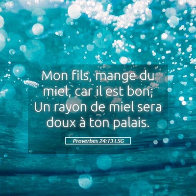Picture 05 - Proverbes 24:13 LSG - Mon fils, mange du miel, car il est bon; Un rayon - Bible Verse Picture