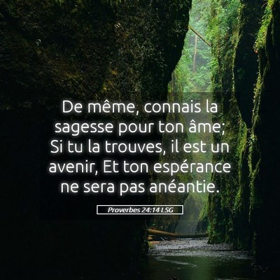 Picture 05 - Proverbes 24:14 LSG - De même, connais la sagesse pour ton âme; Si tu - Bible Verse Picture