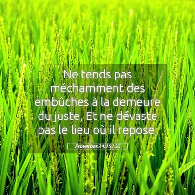 Picture 05 - Proverbes 24:15 LSG - Ne tends pas méchamment des embûches à la - Bible Verse Picture