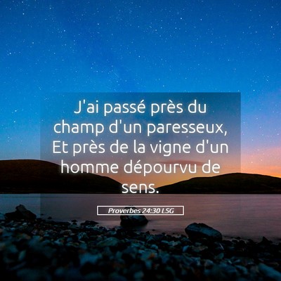 Picture 05 - Proverbes 24:30 LSG - J'ai passé près du champ d'un paresseux, Et - Bible Verse Picture