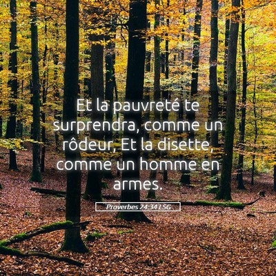 Picture 05 - Proverbes 24:34 LSG - Et la pauvreté te surprendra, comme un rôdeur, - Bible Verse Picture