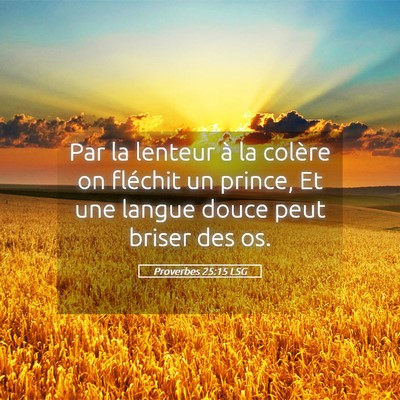 Picture 05 - Proverbes 25:15 LSG - Par la lenteur à la colère on fléchit un - Bible Verse Picture