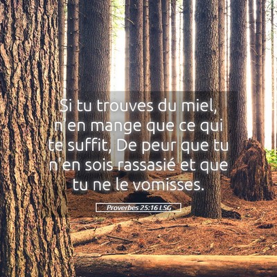 Picture 05 - Proverbes 25:16 LSG - Si tu trouves du miel, n'en mange que ce qui te - Bible Verse Picture