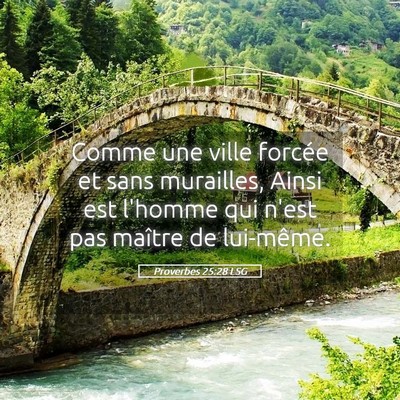 Picture 05 - Proverbes 25:28 LSG - Comme une ville forcée et sans murailles, Ainsi - Bible Verse Picture