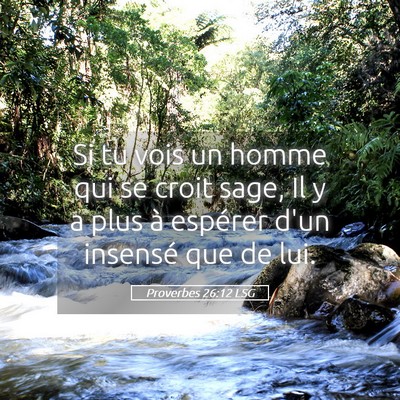Picture 05 - Proverbes 26:12 LSG - Si tu vois un homme qui se croit sage, Il y a - Bible Verse Picture