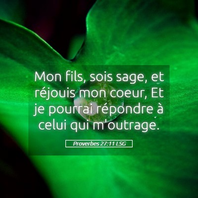 Picture 05 - Proverbes 27:11 LSG - Mon fils, sois sage, et réjouis mon coeur, Et je - Bible Verse Picture