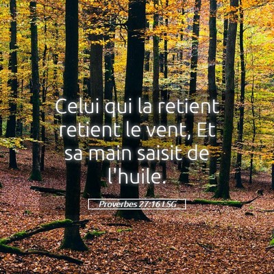Picture 05 - Proverbes 27:16 LSG - Celui qui la retient retient le vent, Et sa main - Bible Verse Picture