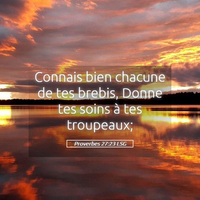 Picture 05 - Proverbes 27:23 LSG - Connais bien chacune de tes brebis, Donne tes - Bible Verse Picture