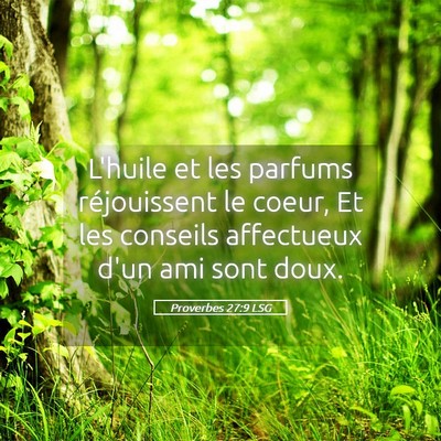 Picture 05 - Proverbes 27:9 LSG - L'huile et les parfums réjouissent le coeur, Et - Bible Verse Picture