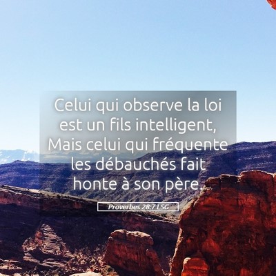 Picture 05 - Proverbes 28:7 LSG - Celui qui observe la loi est un fils intelligent, - Bible Verse Picture