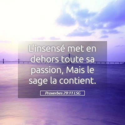 Picture 05 - Proverbes 29:11 LSG - L'insensé met en dehors toute sa passion, Mais - Bible Verse Picture