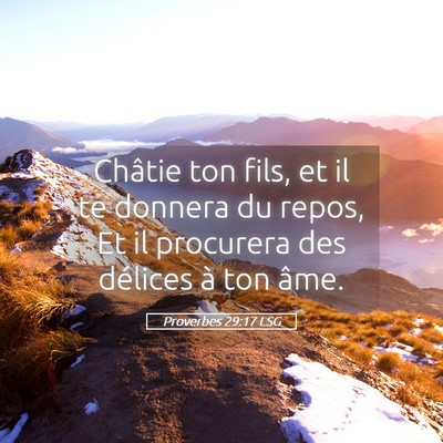 Picture 05 - Proverbes 29:17 LSG - Châtie ton fils, et il te donnera du repos, Et - Bible Verse Picture
