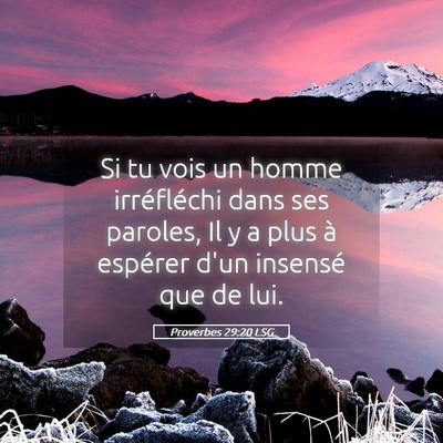 Picture 05 - Proverbes 29:20 LSG - Si tu vois un homme irréfléchi dans ses - Bible Verse Picture