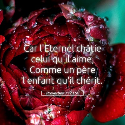 Picture 05 - Proverbes 3:12 LSG - Car l'Eternel châtie celui qu'il aime, Comme un - Bible Verse Picture