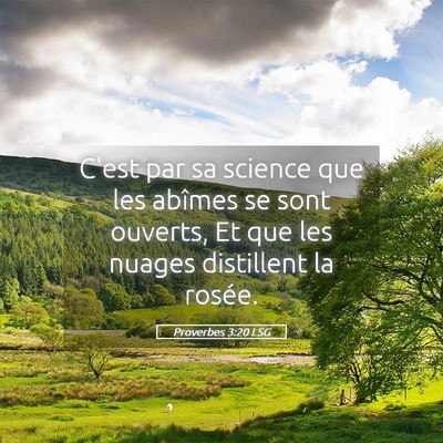 Picture 05 - Proverbes 3:20 LSG - C'est par sa science que les abîmes se sont - Bible Verse Picture