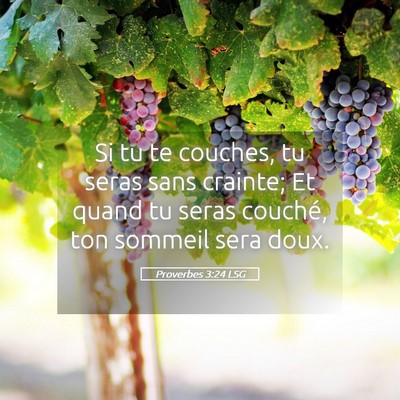 Picture 05 - Proverbes 3:24 LSG - Si tu te couches, tu seras sans crainte; Et quand - Bible Verse Picture
