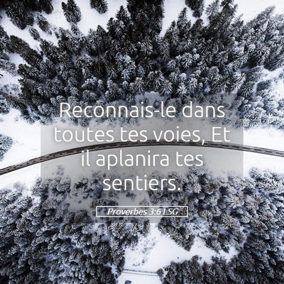 Picture 05 - Proverbes 3:6 LSG - Reconnais-le dans toutes tes voies, Et il - Bible Verse Picture