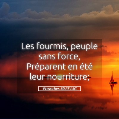 Picture 05 - Proverbes 30:25 LSG - Les fourmis, peuple sans force, Préparent en - Bible Verse Picture