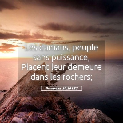 Picture 05 - Proverbes 30:26 LSG - Les damans, peuple sans puissance, Placent leur - Bible Verse Picture