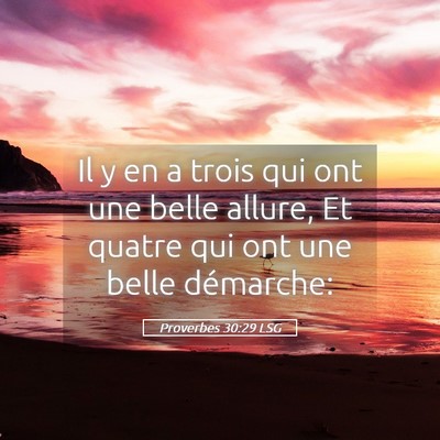 Picture 05 - Proverbes 30:29 LSG - Il y en a trois qui ont une belle allure, Et - Bible Verse Picture