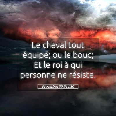 Picture 05 - Proverbes 30:31 LSG - Le cheval tout équipé; ou le bouc; Et le roi à - Bible Verse Picture