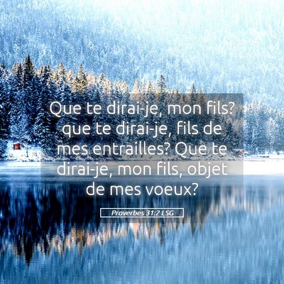 Picture 05 - Proverbes 31:2 LSG - Que te dirai-je, mon fils? que te dirai-je, fils - Bible Verse Picture