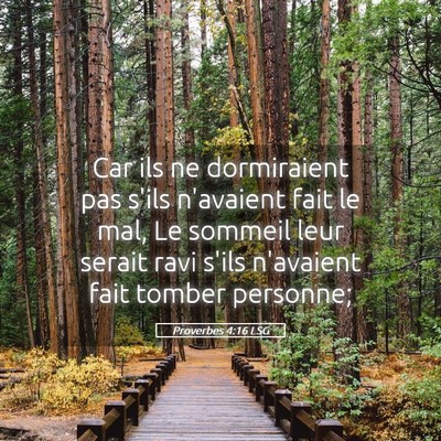 Picture 05 - Proverbes 4:16 LSG - Car ils ne dormiraient pas s'ils n'avaient fait - Bible Verse Picture