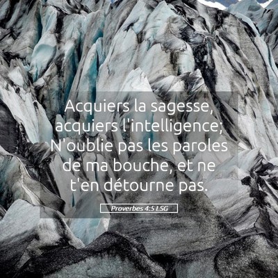 Picture 05 - Proverbes 4:5 LSG - Acquiers la sagesse, acquiers l'intelligence; - Bible Verse Picture