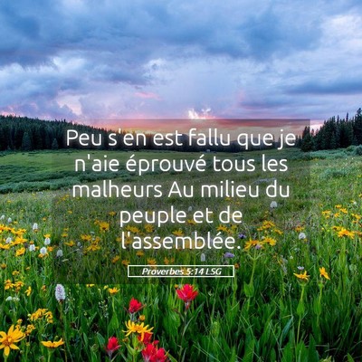 Picture 05 - Proverbes 5:14 LSG - Peu s'en est fallu que je n'aie éprouvé tous - Bible Verse Picture