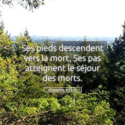 Picture 05 - Proverbes 5:5 LSG - Ses pieds descendent vers la mort, Ses pas - Bible Verse Picture