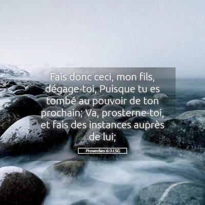Picture 05 - Proverbes 6:3 LSG - Fais donc ceci, mon fils, dégage-toi, Puisque tu - Bible Verse Picture