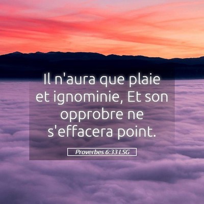 Picture 05 - Proverbes 6:33 LSG - Il n'aura que plaie et ignominie, Et son opprobre - Bible Verse Picture