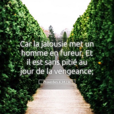 Picture 05 - Proverbes 6:34 LSG - Car la jalousie met un homme en fureur, Et il est - Bible Verse Picture