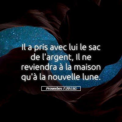 Picture 05 - Proverbes 7:20 LSG - Il a pris avec lui le sac de l'argent, Il ne - Bible Verse Picture