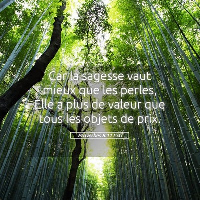 Picture 05 - Proverbes 8:11 LSG - Car la sagesse vaut mieux que les perles, Elle a - Bible Verse Picture