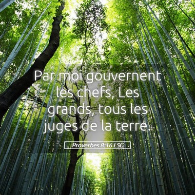 Picture 05 - Proverbes 8:16 LSG - Par moi gouvernent les chefs, Les grands, tous - Bible Verse Picture