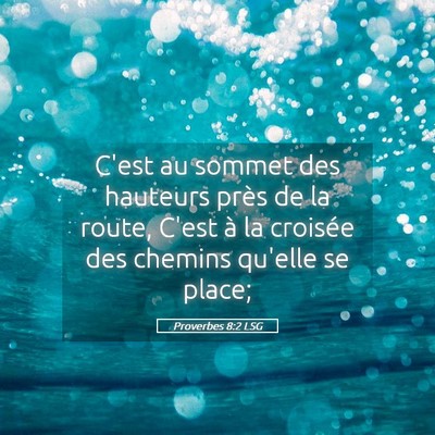 Picture 05 - Proverbes 8:2 LSG - C'est au sommet des hauteurs près de la route, - Bible Verse Picture