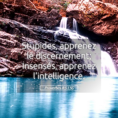 Picture 05 - Proverbes 8:5 LSG - Stupides, apprenez le discernement; Insensés, - Bible Verse Picture