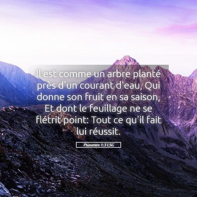 Picture 05 - Psaumes 1:3 LSG - Il est comme un arbre planté près d'un courant - Bible Verse Picture