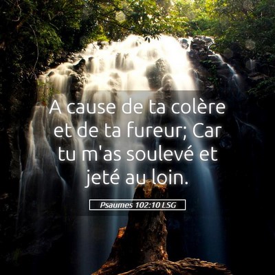 Picture 05 - Psaumes 102:10 LSG - A cause de ta colère et de ta fureur; Car tu - Bible Verse Picture