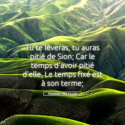 Picture 05 - Psaumes 102:13 LSG - Tu te lèveras, tu auras pitié de Sion; Car le - Bible Verse Picture
